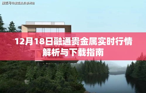 12月18日融通贵金属行情解析及下载指南