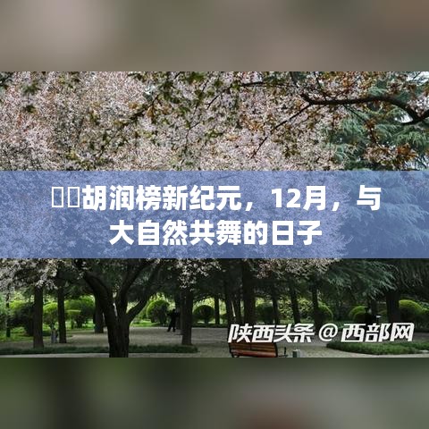 胡润榜新纪元，与自然共舞的日子，12月揭晓榜单