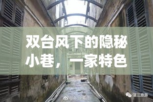 双台风影响下的隐秘小巷奇妙之旅，一家特色小店的独特风情