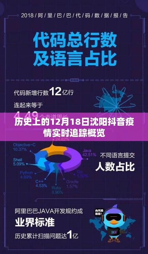 沈阳抖音疫情实时追踪概览，历史12月18日回顾