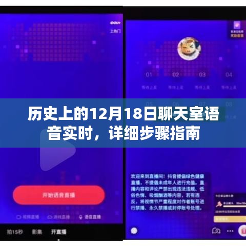 历史上的语音聊天室，实时体验与详细步骤指南