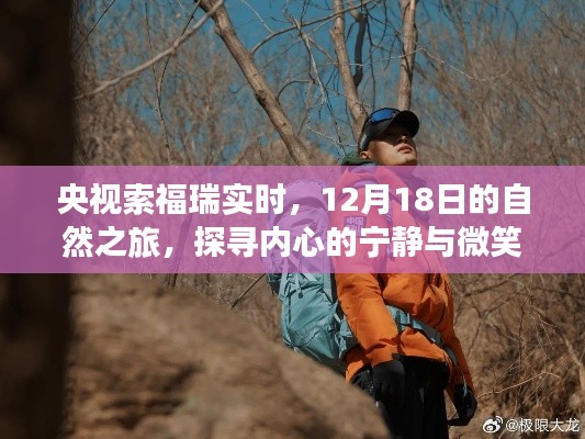 央视索福瑞实时直播，探寻自然之旅中的内心宁静与微笑（12月18日）