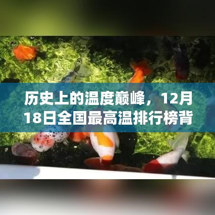 滔滔不绝