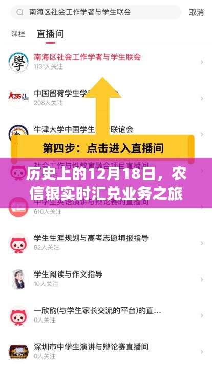 农信银实时汇兑业务之旅，历史追溯与心灵探寻的双重篇章