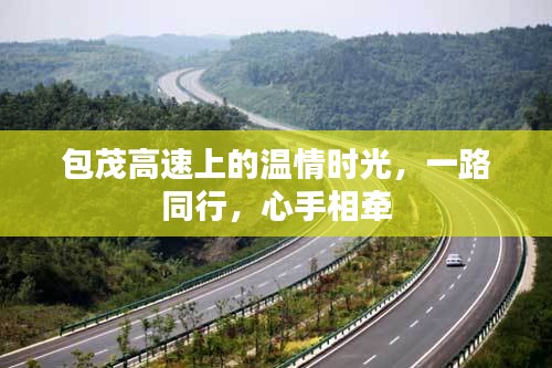 一本正经