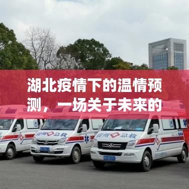 湖北疫情下的温情预测，未来奇妙之旅的启航点
