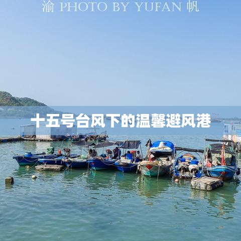 台风十五号下的避风港温情满满