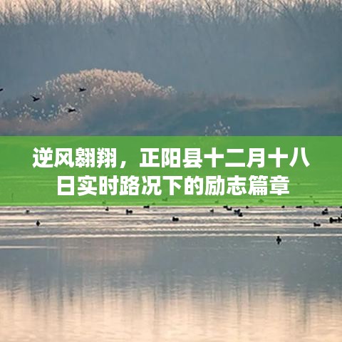 逆风翱翔，正阳县十二月十八日路况下的奋斗篇章