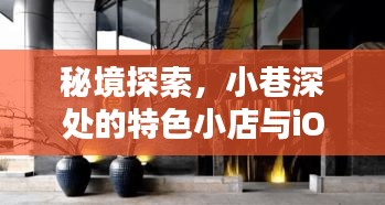 秘境探索揭秘，小巷深处的特色小店与iOS 17实时帧率的历史瞬间
