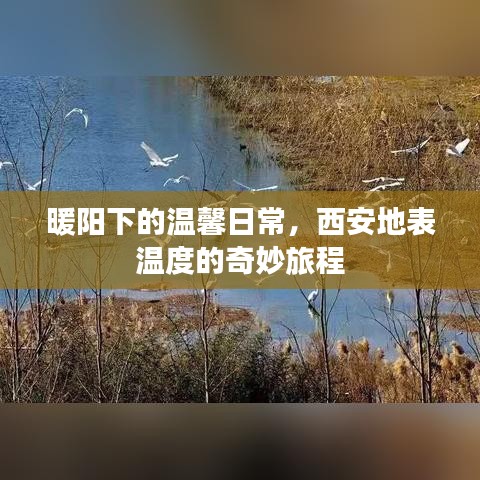 西安暖阳下的日常奇妙之旅，地表温度的温馨探索