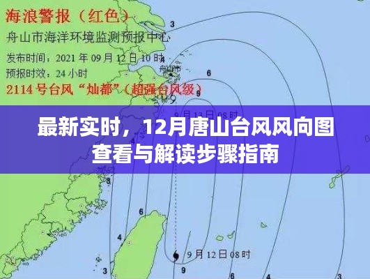 最新实时唐山台风风向图查看与解读指南