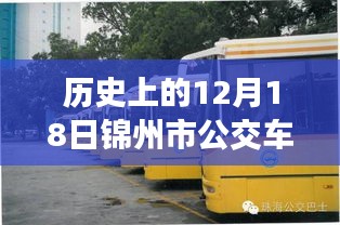 锦州市公交车实时查询系统的发展与变迁，历史视角的12月18日回顾