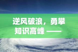 逆风破浪勇攀知识高峰，台风实时研判中的自信与成长之路