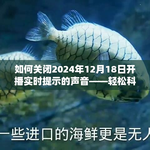 轻松科普，如何关闭未来开播提示声音（针对2024年12月18日开播）