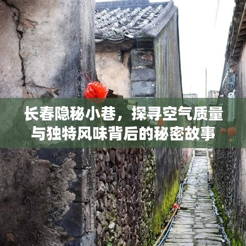 长春隐秘小巷，空气质量与独特风味背后的探秘之旅