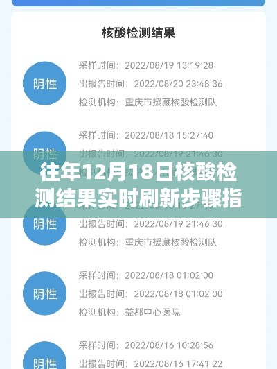 往年12月18日核酸检测结果实时刷新步骤详解