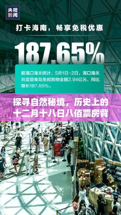 探寻自然秘境，十二月初八佰票房背后的旅行艺术之旅