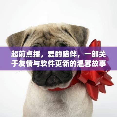超前点播，友情与软件更新的温馨陪伴之旅