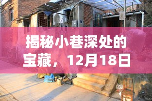 探访小巷深处的宝藏，揭秘光影中的独特瞬间与特色小店的奇遇记（12月18日）