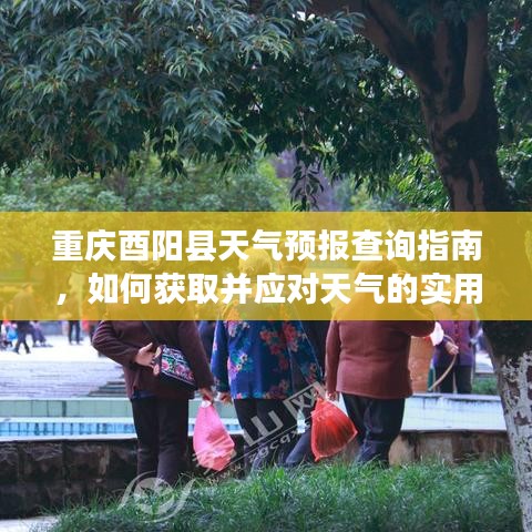 重庆酉阳县天气预报指南，获取与应对天气的实用步骤