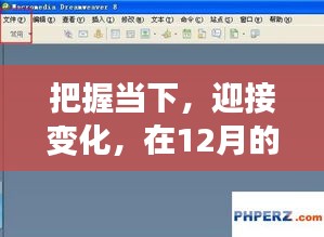把握当下，迎接变化，DW导出实时视图中寻找自信与成就之路