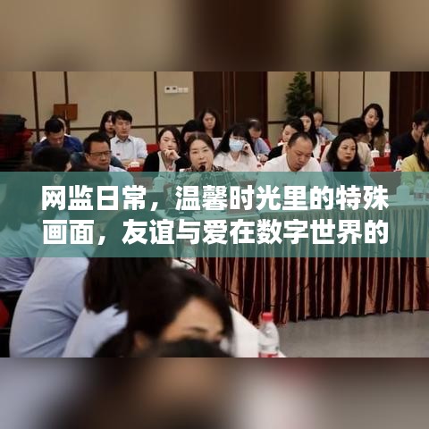 网监日常，数字世界的友谊与爱，温馨时光的特殊画面