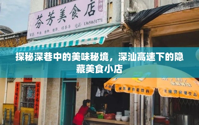 深巷美食秘境揭秘，深汕高速旁隐藏的美食小店探秘之旅