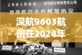 深航9603航班动态预测，多方观点碰撞下的个人见解（2024年12月18日）