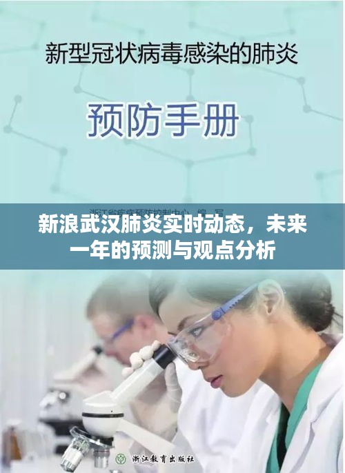 新浪武汉肺炎实时动态及未来一年预测与深度分析