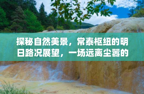 探秘自然美景与明日路况展望，常泰枢纽的心灵之旅