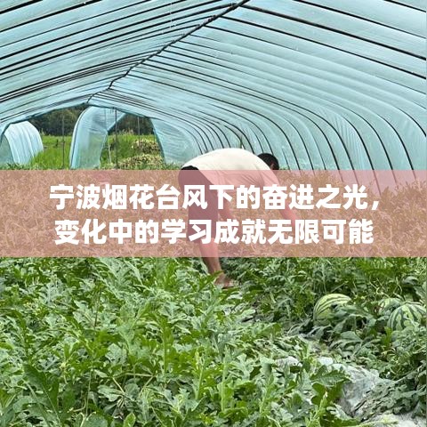 宁波烟花台风下的奋进之光，变化中的学习引领无限可能