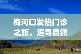 业业兢兢
