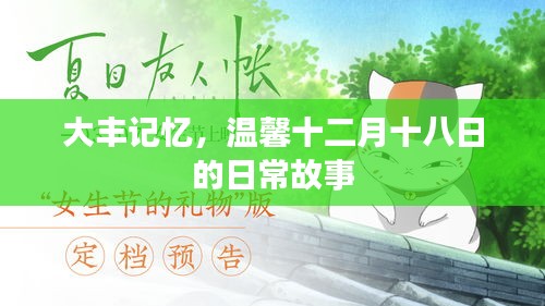 大丰记忆，温馨日常故事在十二月十八日绽放