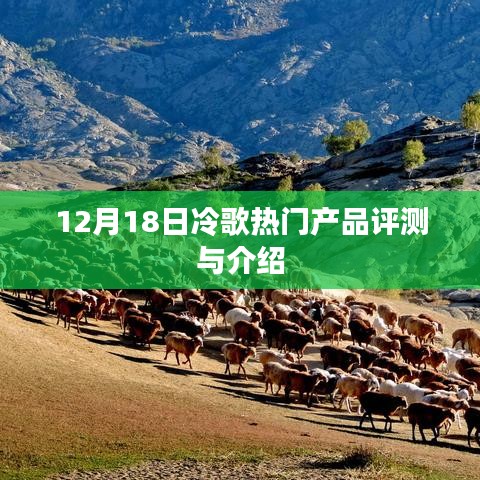 12月18日冷歌热门产品全面评测与介绍