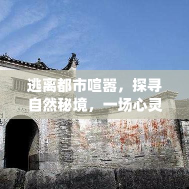 自然秘境探寻，心灵之旅的启示与逃离都市喧嚣的追寻