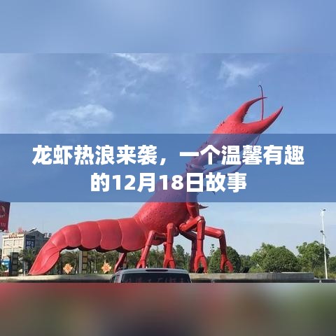 龙虾热浪遇温情故事，12月18日的奇遇