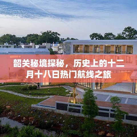 飞龙在天