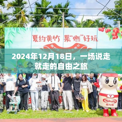 2024年12月18日，一场随心所欲的自由之旅
