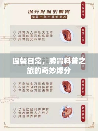 脾胃科普之旅，日常温馨与奇妙的缘分探索