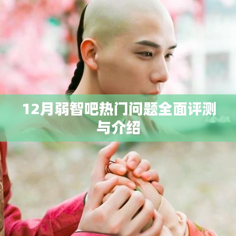 12月弱智吧热门问题深度评测与详解