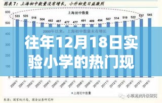 往年12月18日实验小学的热门现象，深度解读与个人观点分享
