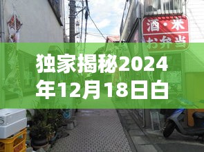 独家揭秘，白庙小区隐藏瑰宝自由行攻略，巷弄深处独特小店大揭秘（2024年12月18日必打卡指南）