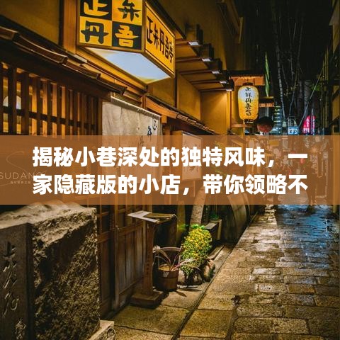 小巷深处的隐藏美食之旅，独特风味小店大揭秘