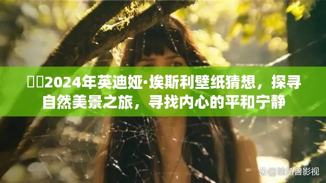 水浄鹅飞