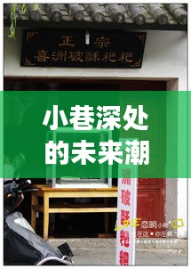 小巷深处的未来潮流，特色小店的隐匿时光与专业变迁展望