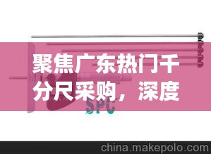 聚焦广东热门千分尺采购深度解析与未来展望（2024年视角）