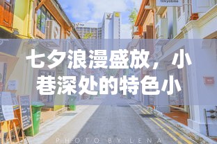 七夕小巷深处的浪漫小店与热门作品赏析