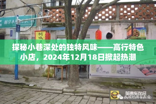 探秘小巷深处的独特风味，高行特色小店盛宴即将开启，2024年12月18日盛况空前