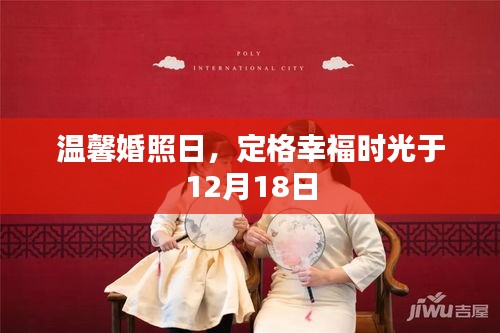 定格幸福时光，温馨婚照日回顾，12月18日的美好瞬间