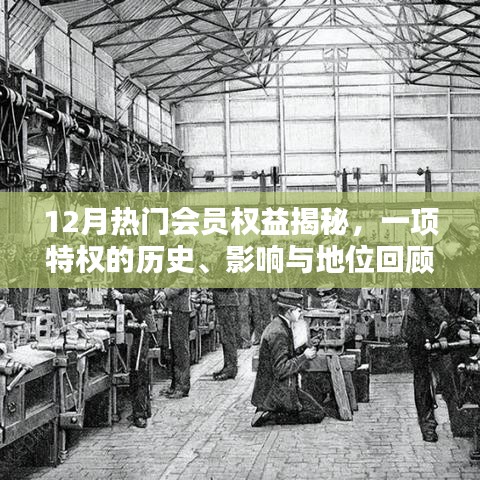 揭秘十二月会员特权，历史回顾与影响地位剖析